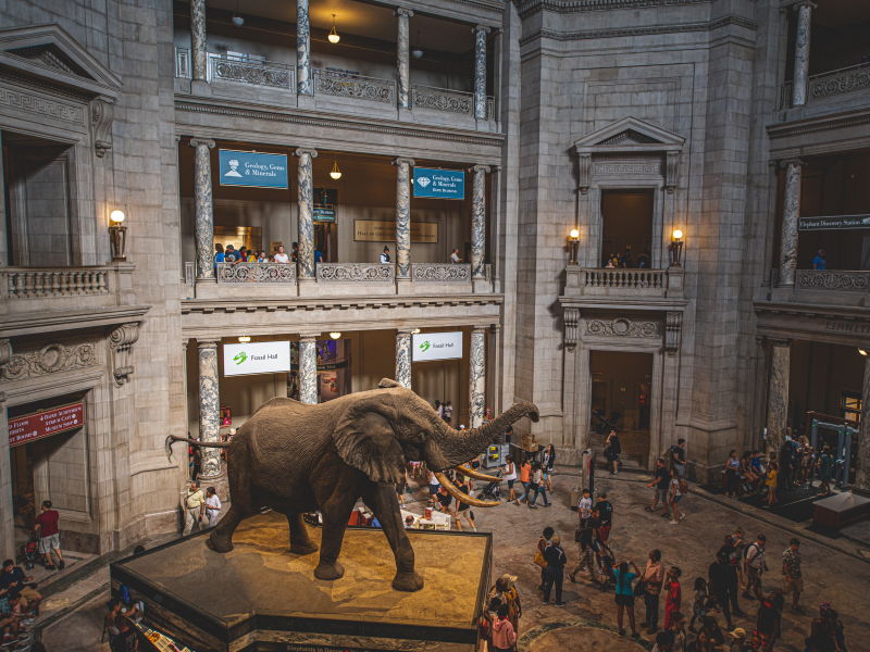 Nacionalni muzej američke istorije, Vašington