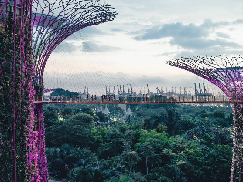 Vrtovi kraj zaliva u Singapuru: visoke konstrukcije u obliku drveća iznad zelenila