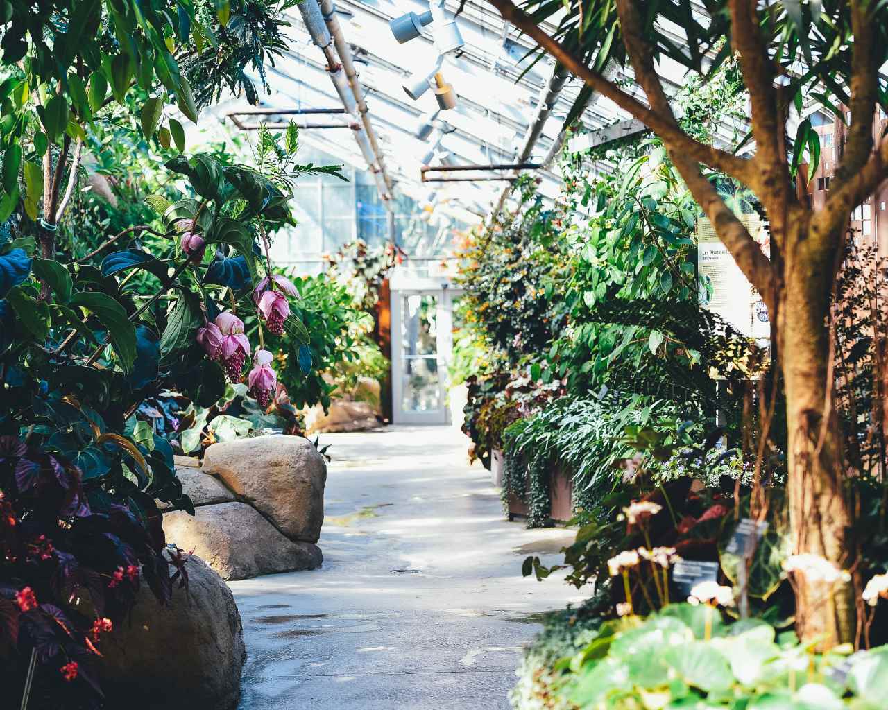 Botanička bašta Montreal