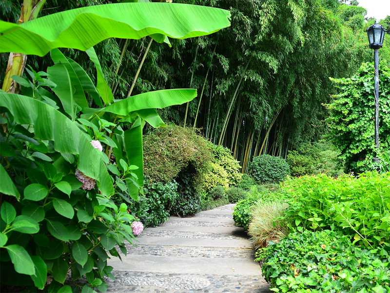 avio karte za soči aviotag