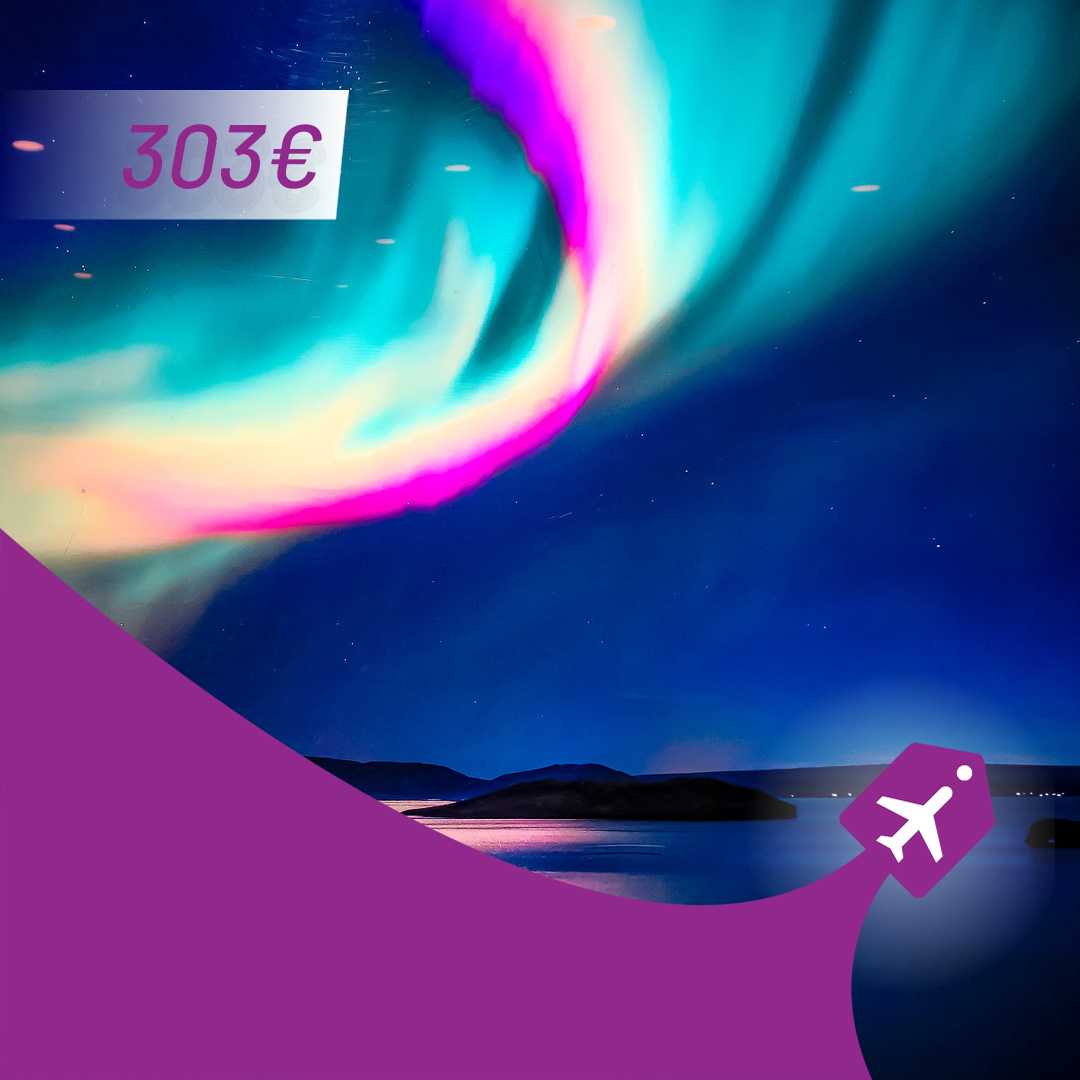 sofija rejkjavik aviotag