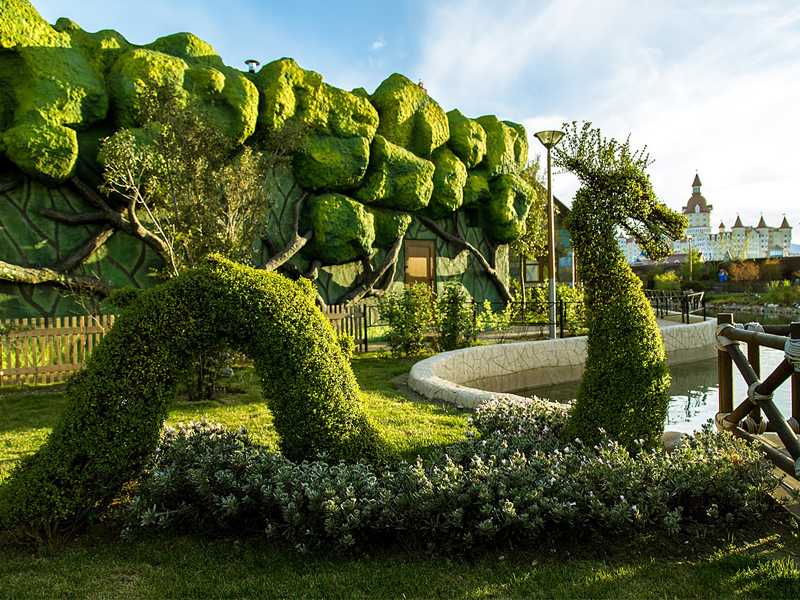 soči park aviotag avio karte