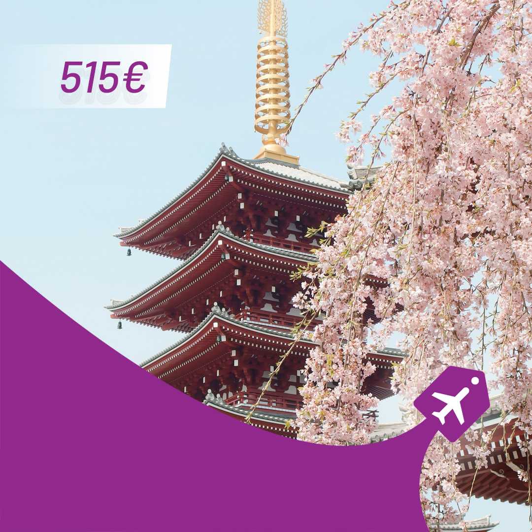 aviotag beograd seul avio karte