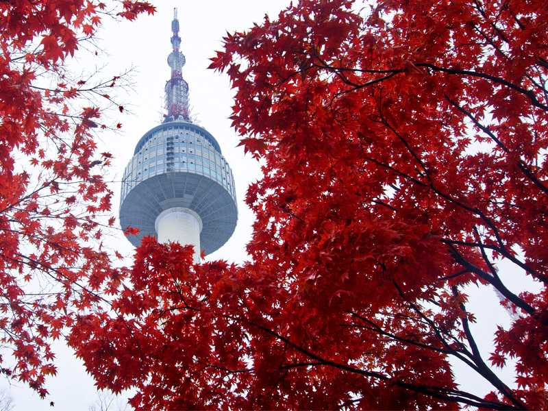 aviotag seul n toranj