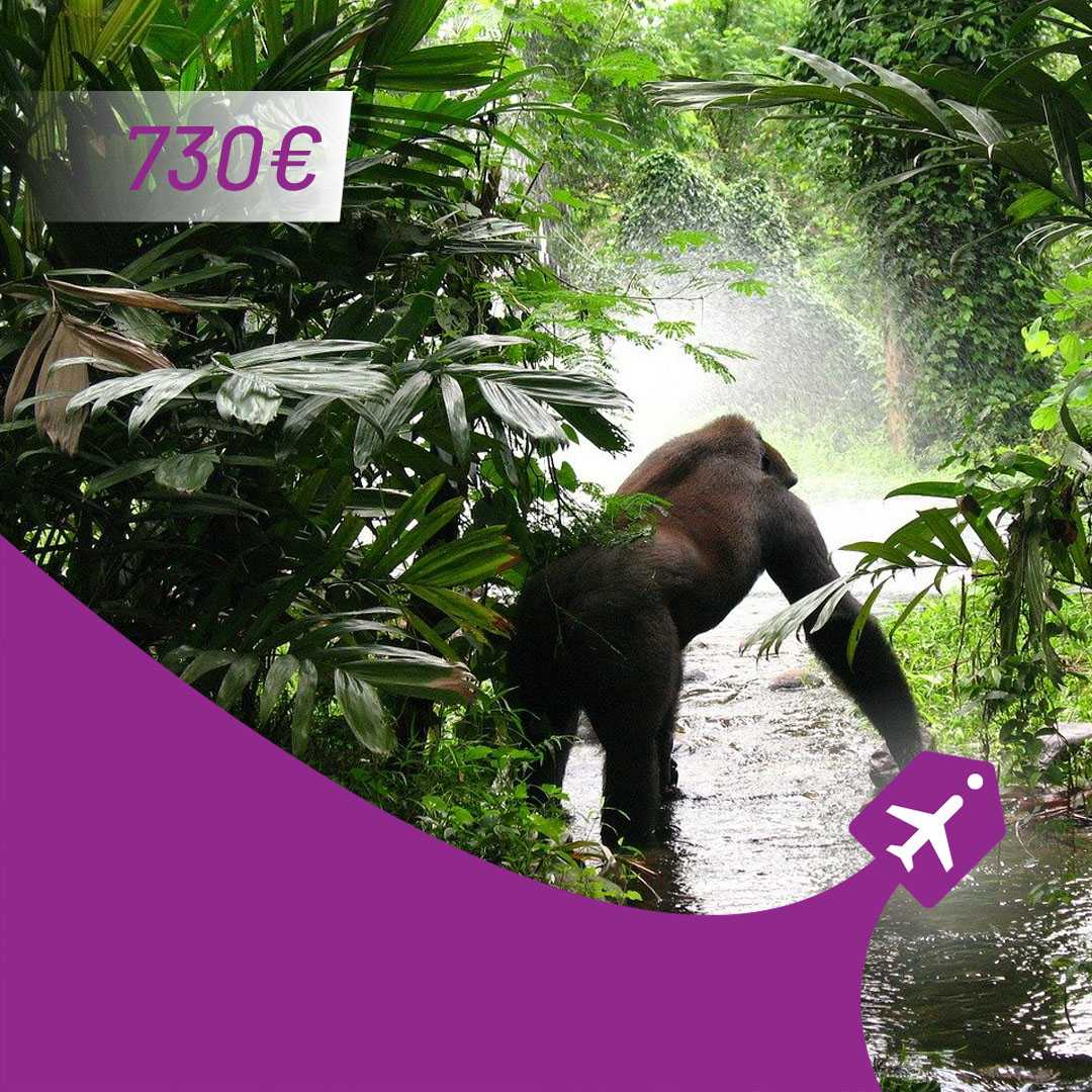 beograd Kinšasa Aviotag