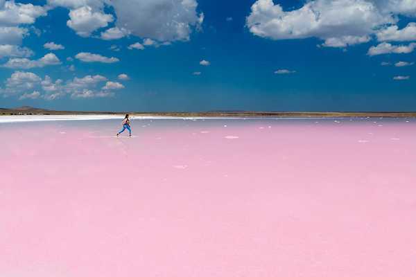 Pink jezera