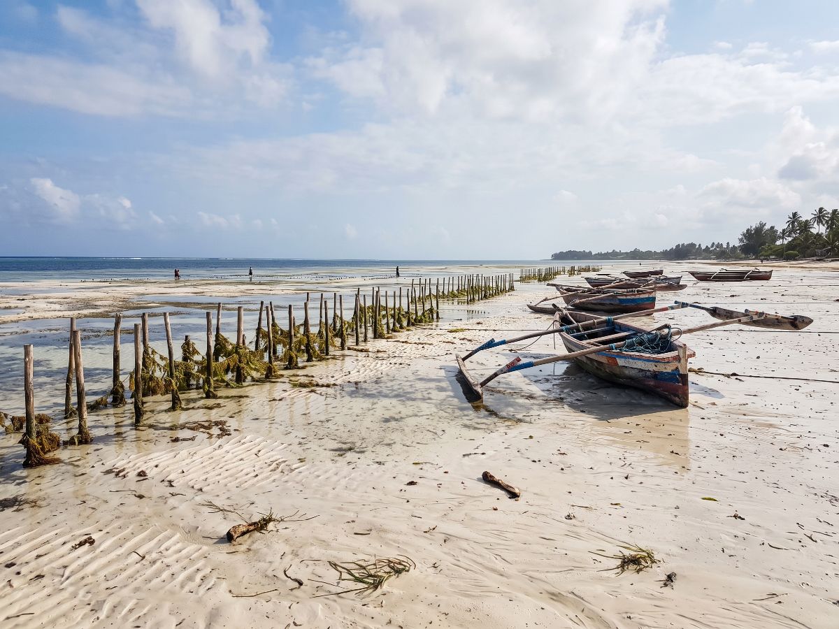 Oseka na istočnoj obali Zanzibara, plićak i čamci (AI prikaz)
